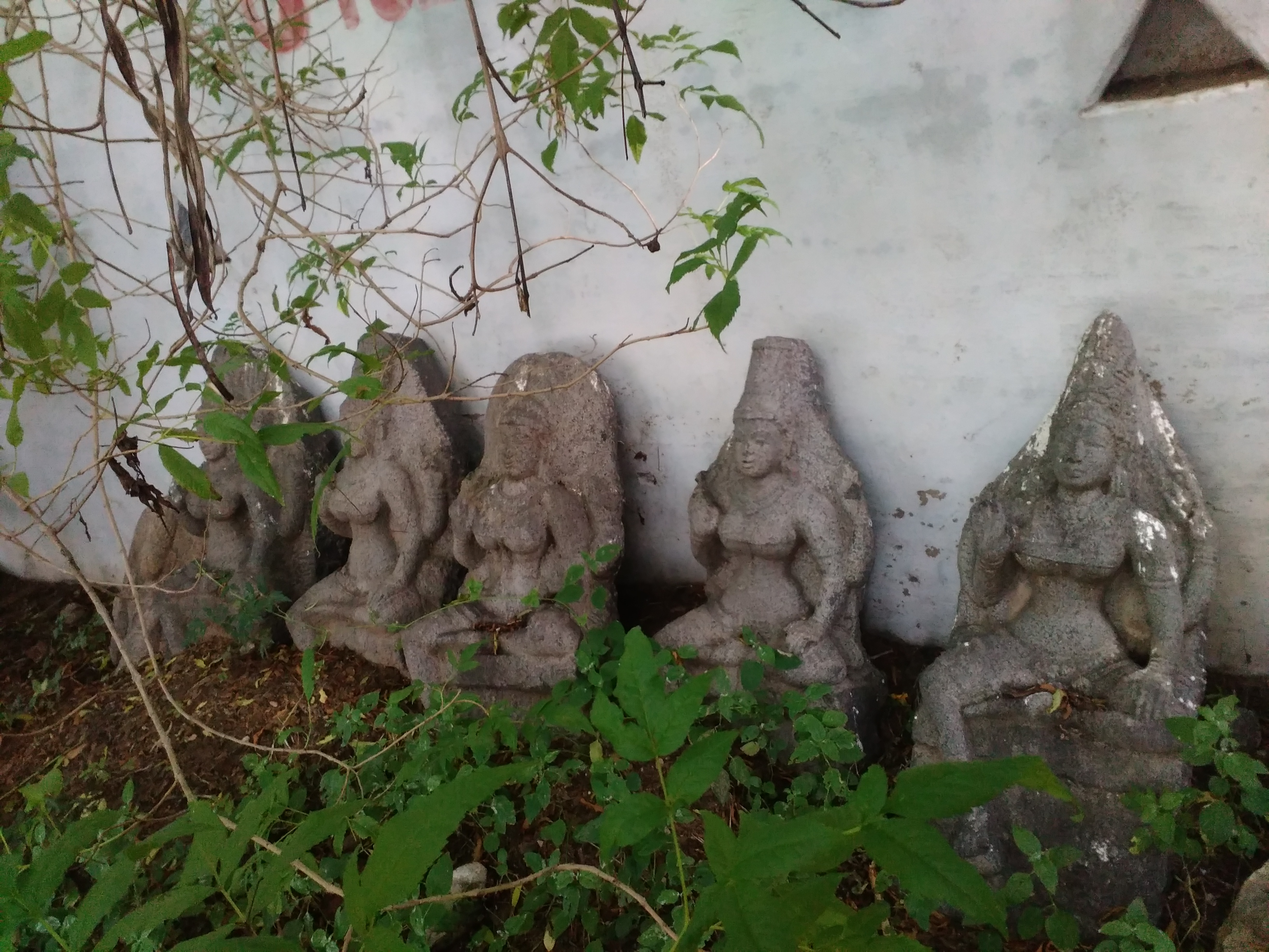 இளங்காடு