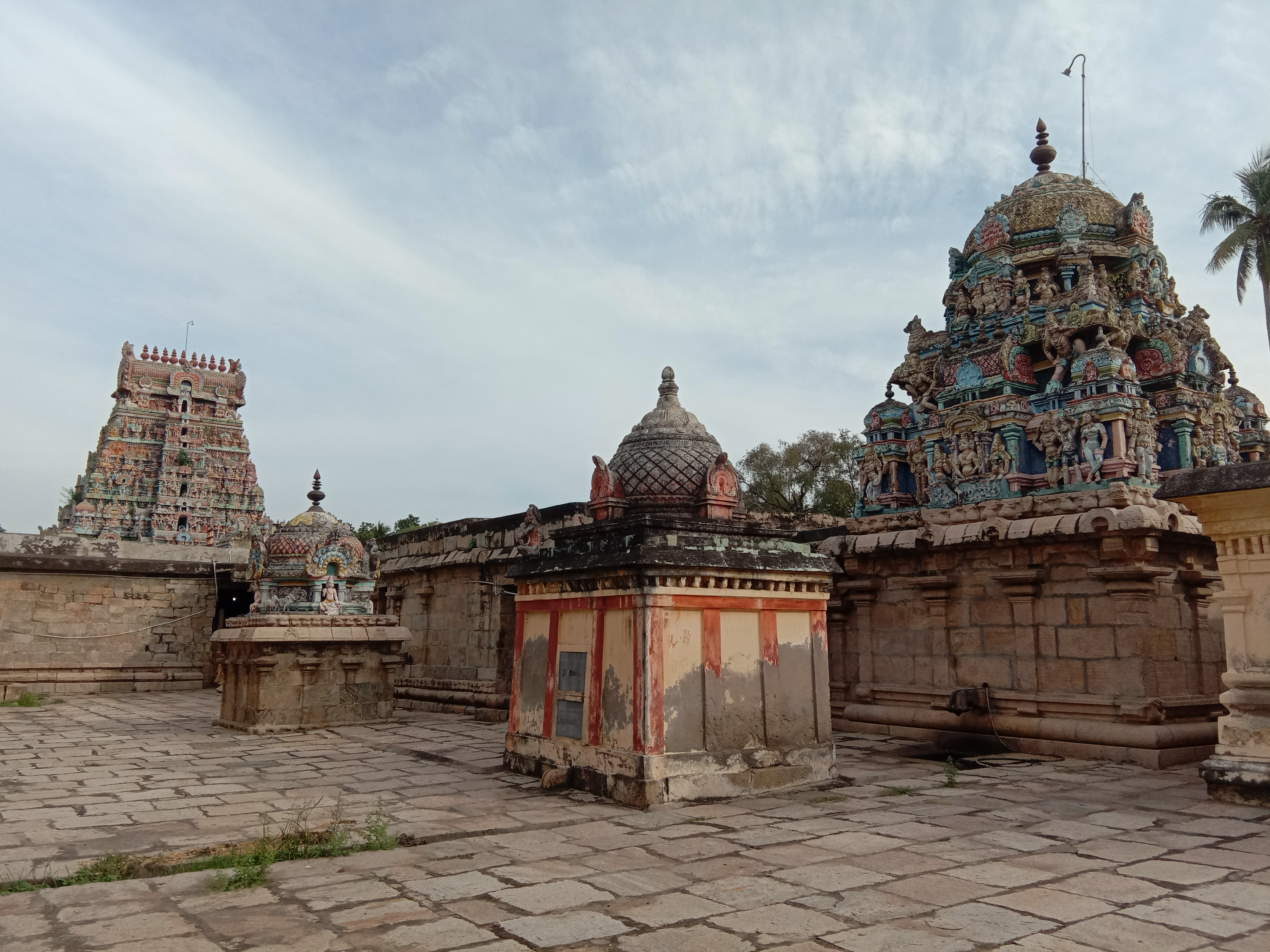 செந்தலை